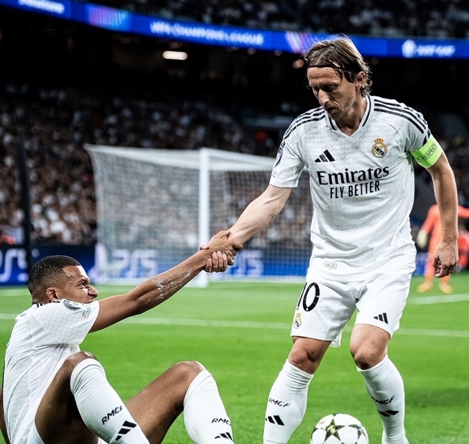 稳定粉丝与 稳定粉丝与